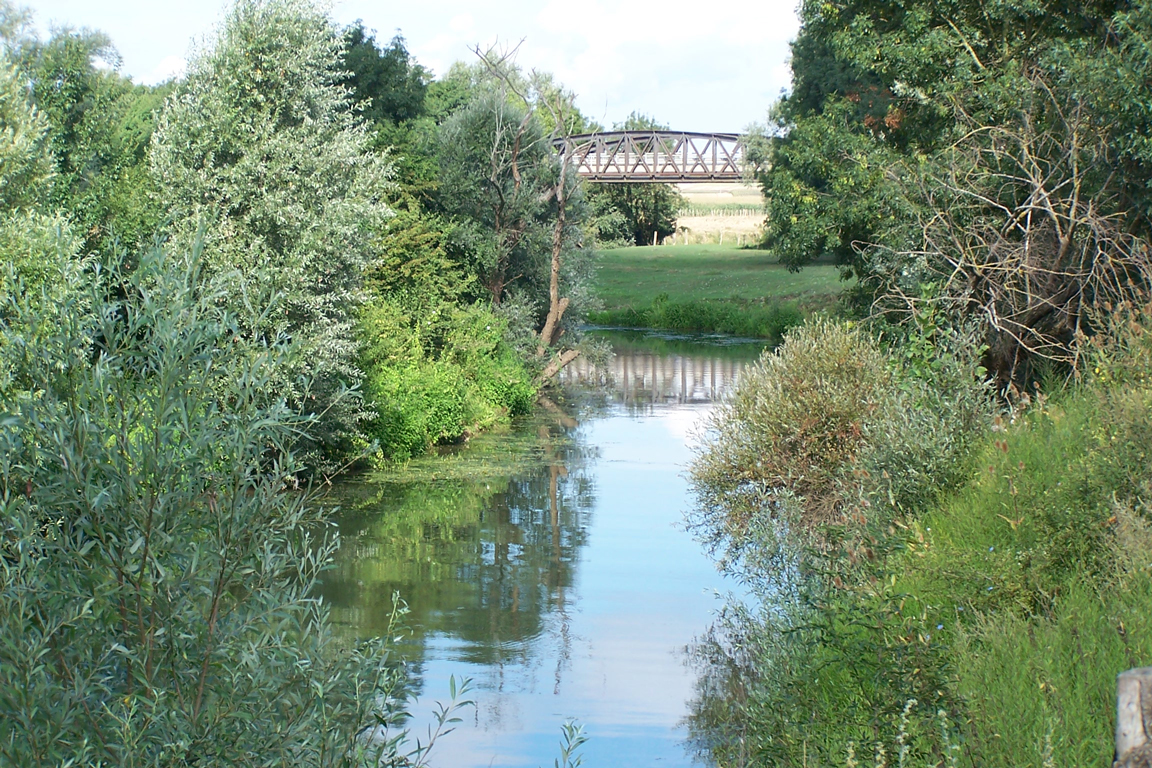 La Dheune à la confluence avec la Saône