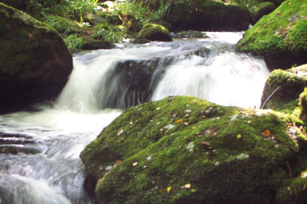 Le Morvan abrite encore des rivières préservées. Les gorges de la Canche