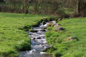 Le Pelot, affluent de la Grosne