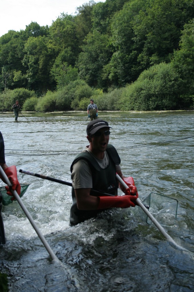 Pêche électrique sur la Loue dans le département du Doubs (Juillet 2013)