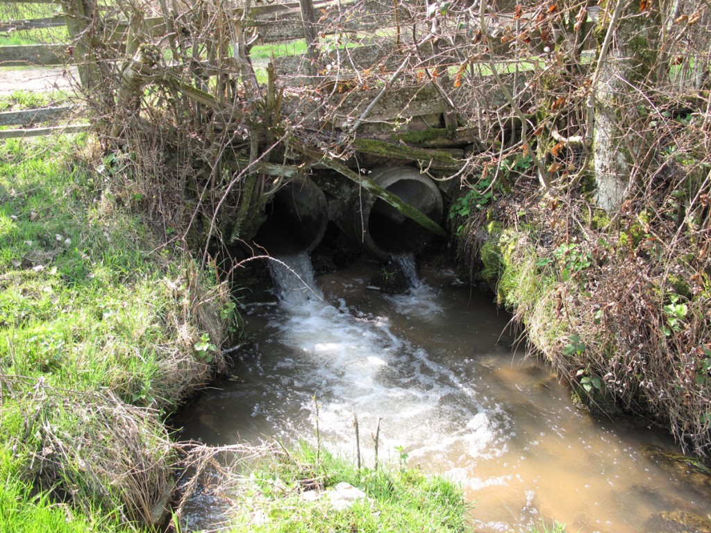 Obstacle à la libre circulation piscicole sur le ruisseau de Bessay (Haut bassin de la Grosne)