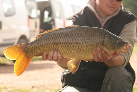 Ouverture de la pêche à la carpe de nuit - Fédération de pêche de  Saône-et-Loire