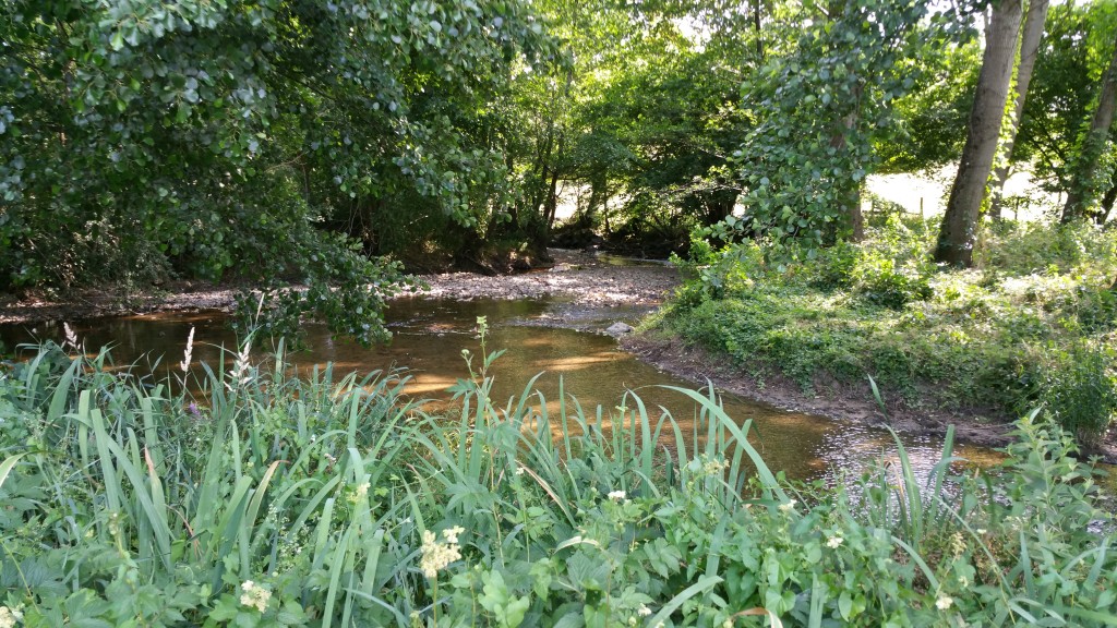 Grosne à Saint-Léger-sous-la-Bussière (71)