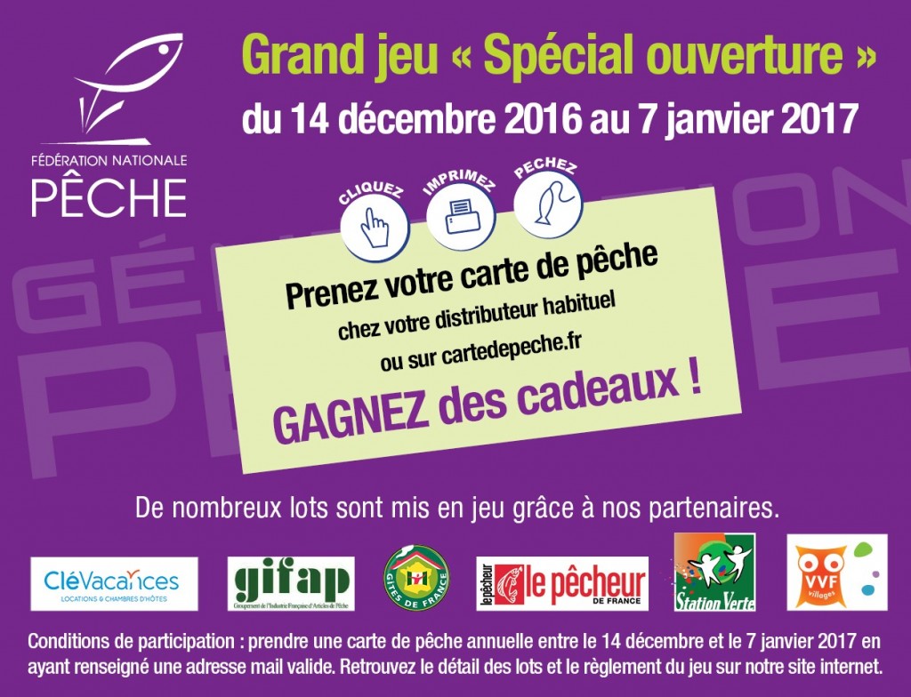 pavé jeu concours violet noel 2017