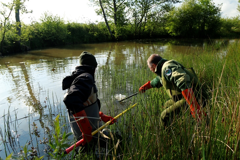 Vaucluse. Bédarrides : la pêche à l'aimant, une façon de dépolluer les  cours d'eau