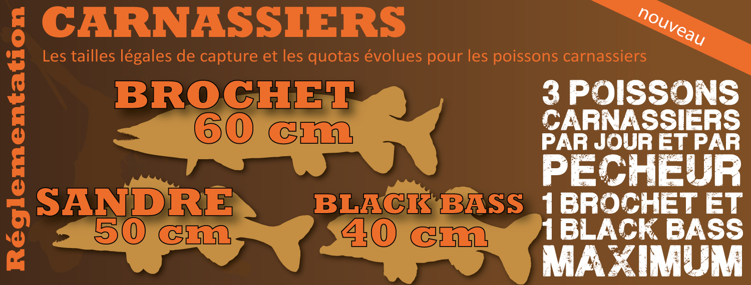 Quotas de capture brochet, sandre, black bass