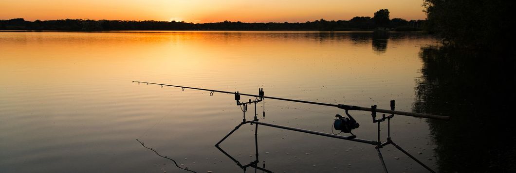 Pêcher la carpe seulement en journée