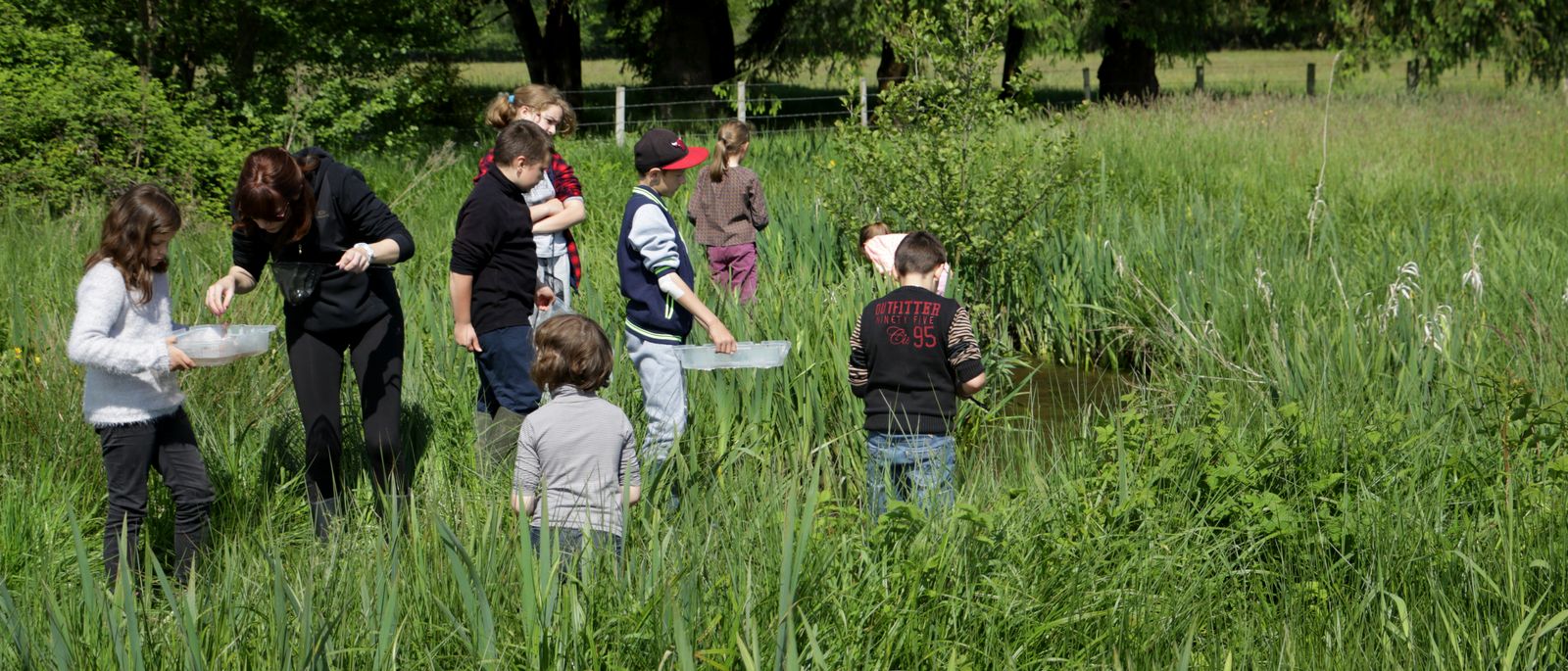 Découverte des milieux aquatiques avec les scolaires.