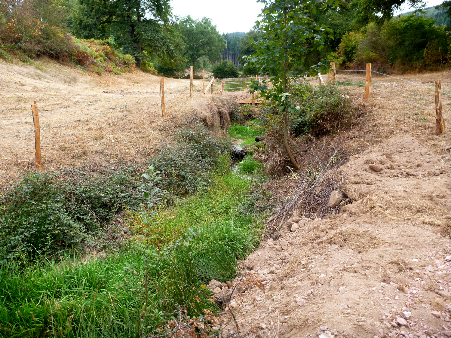 Travaux sur le ruisseau du Champ Jeandin