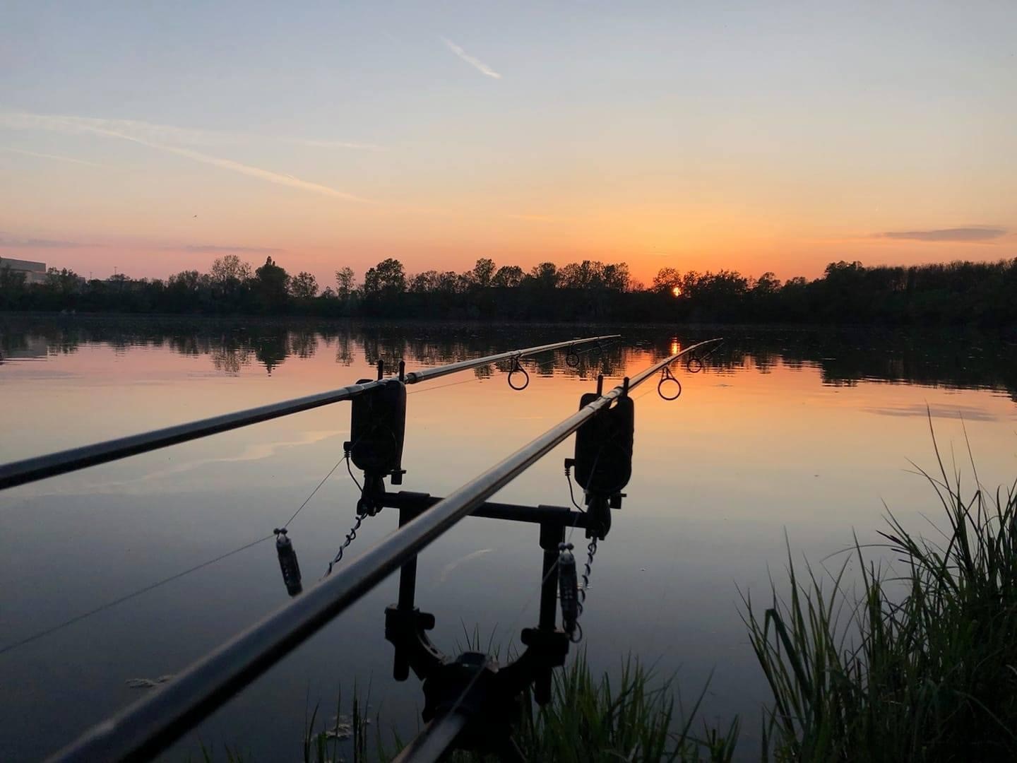 Comment Pêcher la Carpe de Nuit en Etang ? - Pêcher Gros