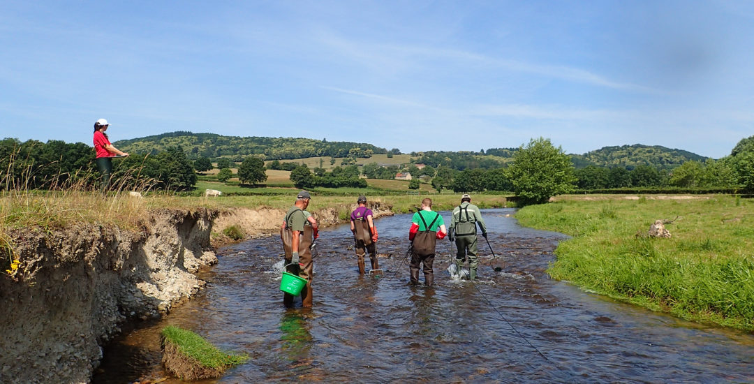 Pêche d'échantillonnage sur les portions aval du Méchet